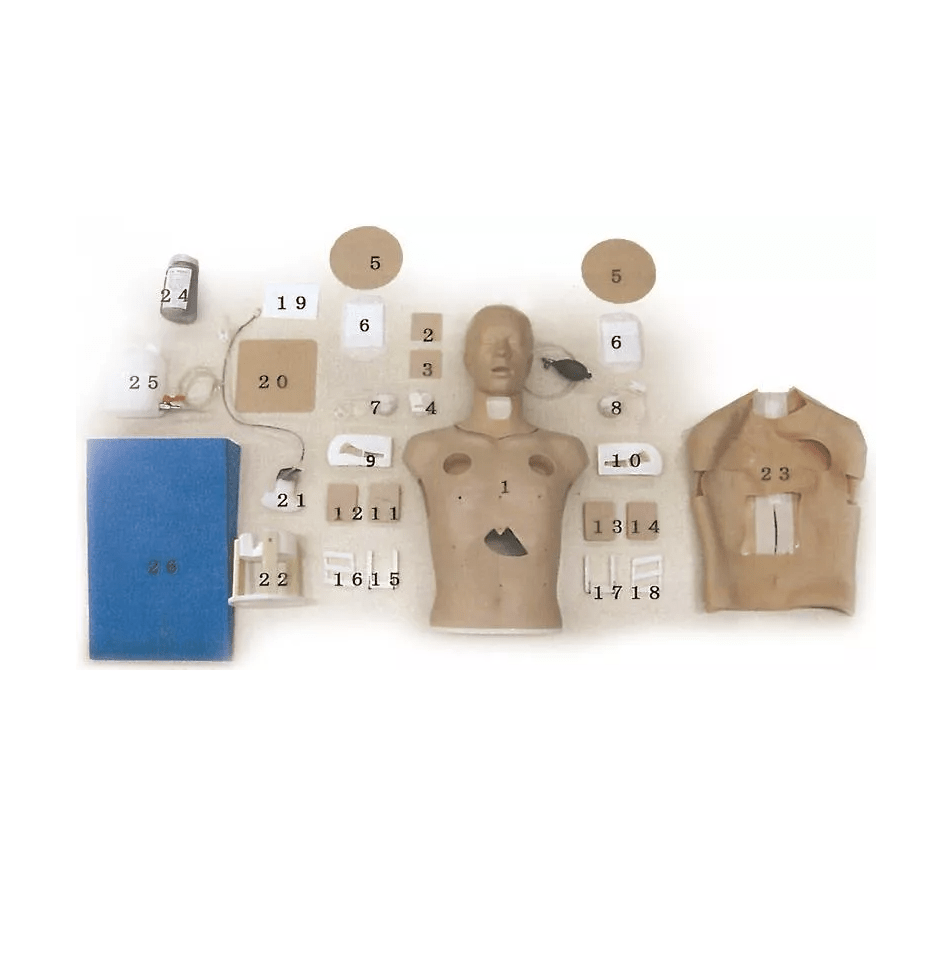 Thorakozentese Einstichstelle für LM93 - Erler - Zimmer